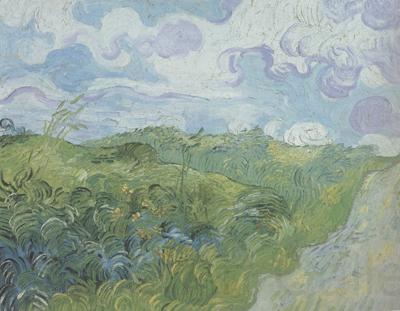 Vincent Van Gogh Green Wheat Fields (nn04) Norge oil painting art